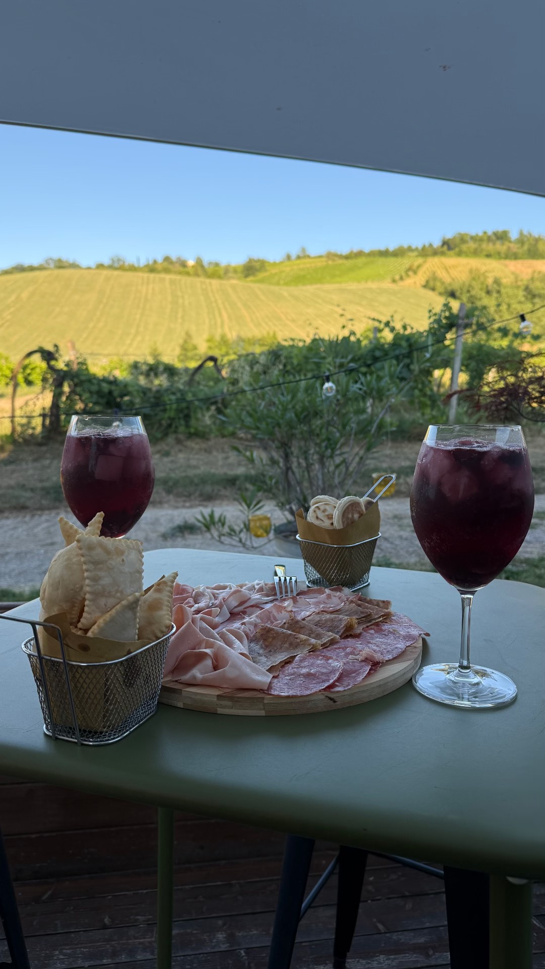 Tagliere di salumi modenesi, gnocco fritto e calici di Lambrusco vista vigneti all'Agriturismo San Polo