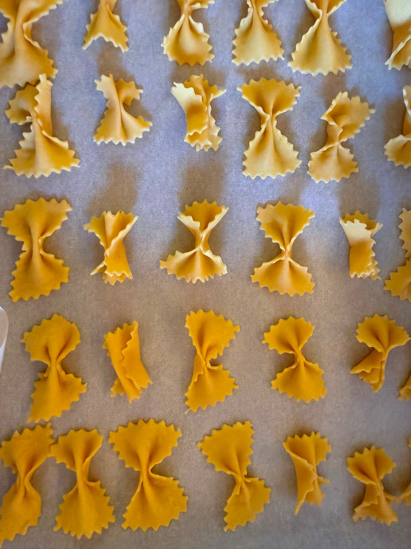 Farfalle di pasta fresca gialle appena tirate a mano dalle sfogline dell'Agriturismo San Polo